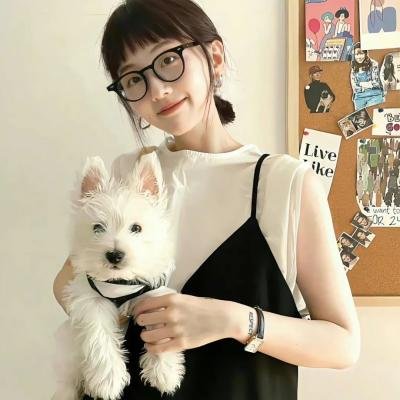 爸爸是坏人冠军